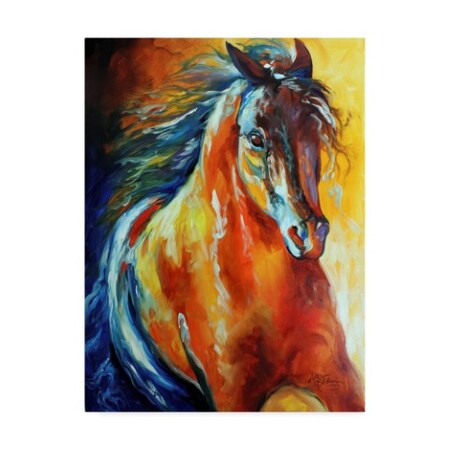 Trademark Fine Art Marcia Baldwin 'Thunder Magic' Canvas Art, 35x47 ALI34666-C3547GG